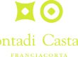 Logo Contadi Castaldi