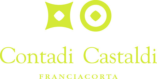 Logo Contadi Castaldi Logo Contadi Castaldi