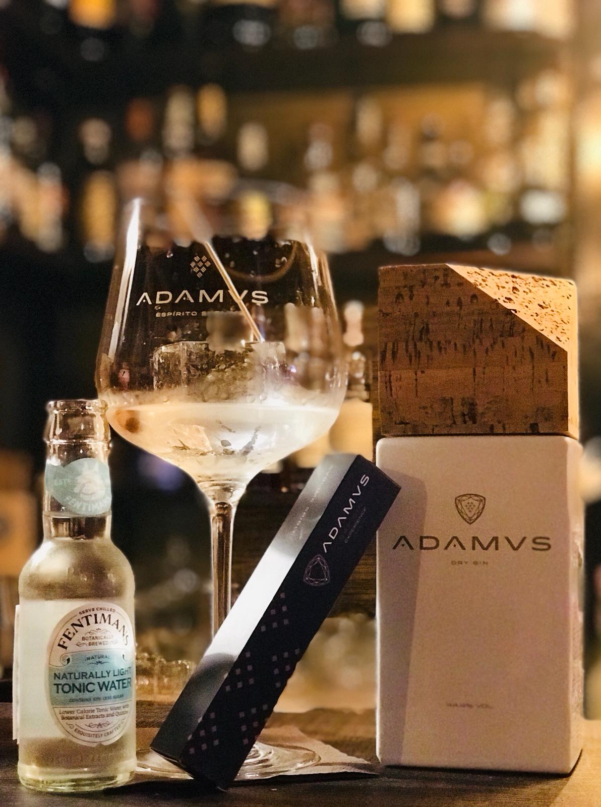 Aperitivo a Lecco con Gin Adamus